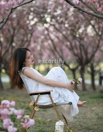 View ava, South Island Escort | Tel: 0221597100